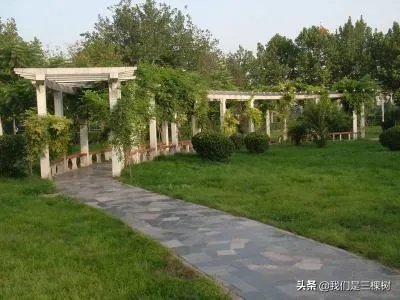 河北经贸大学北校区怎么样?