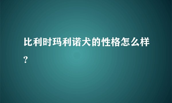 比利时玛利诺犬的性格怎么样？