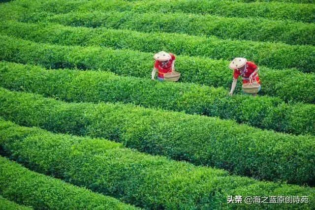 没有一个冬天不可逾越没有一个春天不会来临是什么意思? - 芝士回答