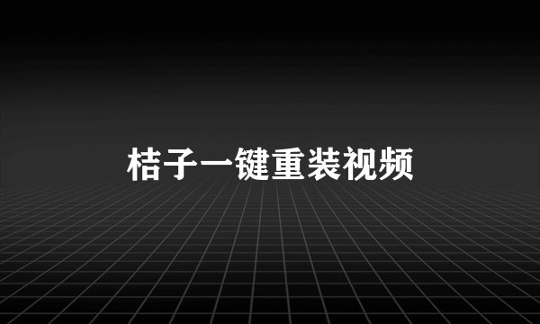 桔子一键重装视频