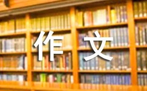 我心中的阳光作文