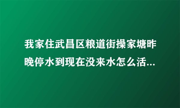 我家住武昌区粮道街操家塘昨晚停水到现在没来水怎么活呀,什么时候来啊？