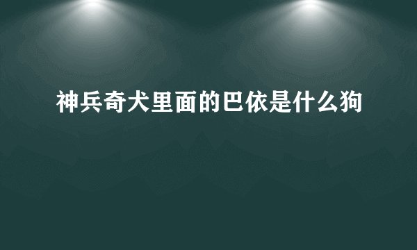 神兵奇犬里面的巴依是什么狗