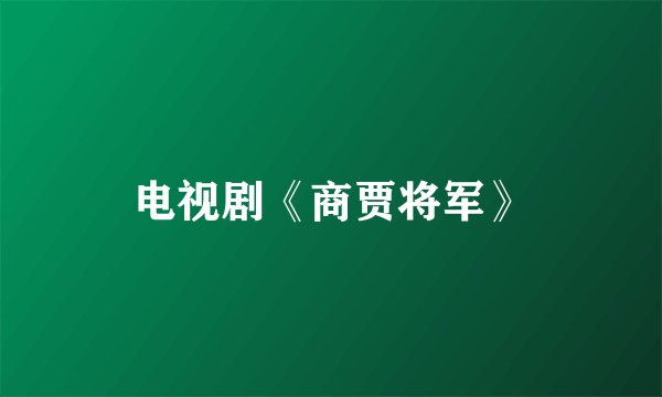 电视剧《商贾将军》