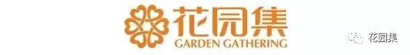 造型松,无奇不自由!气质庭院必备元素