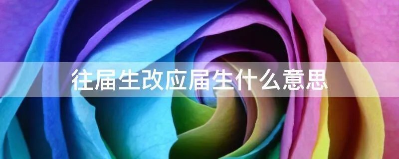 往届生改应届生什么意思