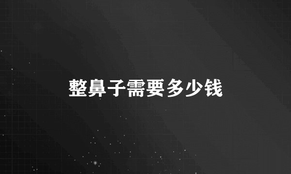 整鼻子需要多少钱