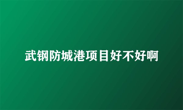 武钢防城港项目好不好啊