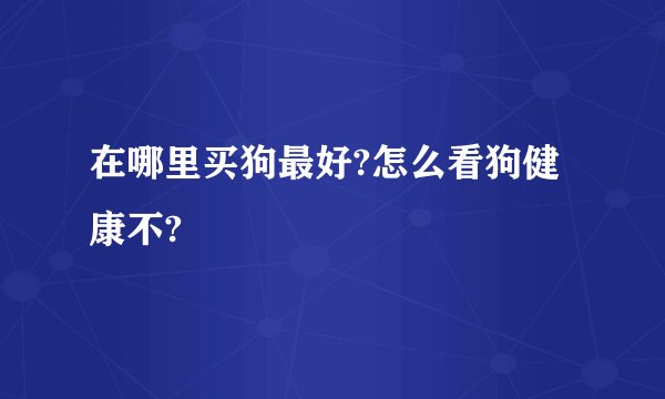 在哪里买狗最好?怎么看狗健康不?