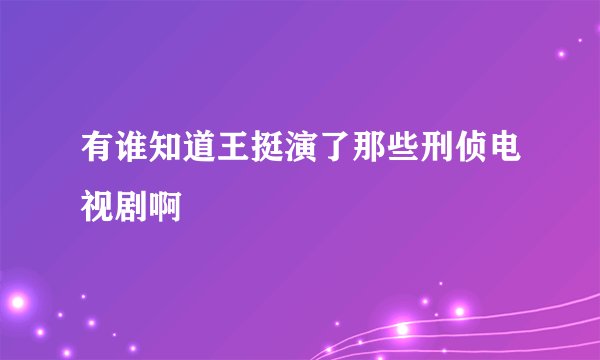 有谁知道王挺演了那些刑侦电视剧啊