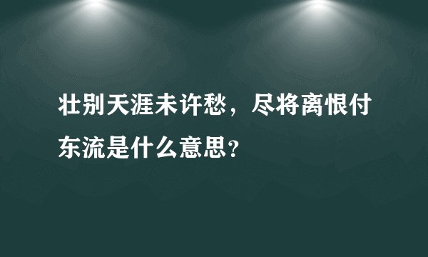 壮别天涯未许愁,尽将离恨付东流是什么意思?