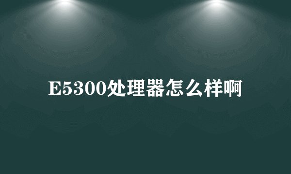 E5300处理器怎么样啊