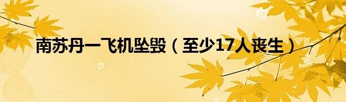 南苏丹一飞机坠毁（至少17人丧生）