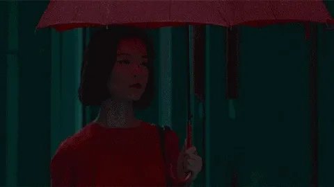 丹凤眼明星