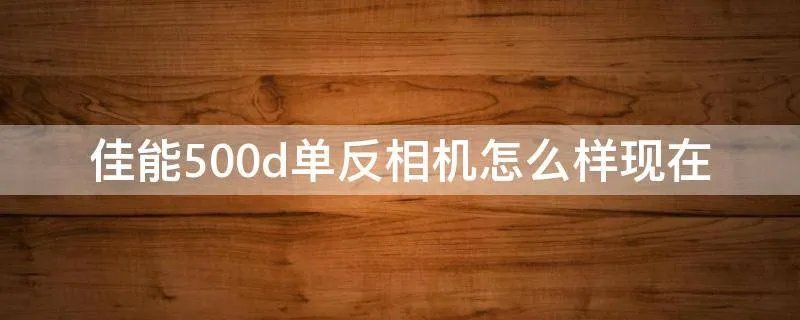 佳能500d单反相机怎么样现在