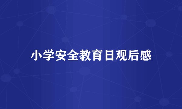 小学安全教育日观后感