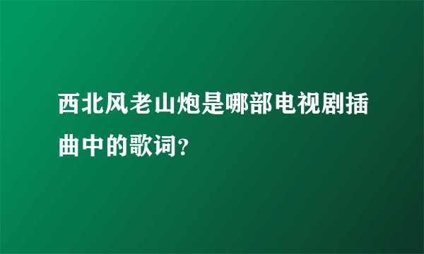 西北风老山炮是哪部电视剧插曲中的歌词?