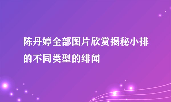 陈丹婷全部图片欣赏揭秘小排的不同类型的绯闻