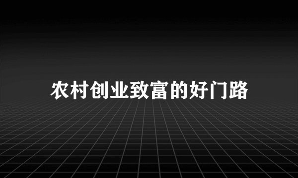 农村创业致富的好门路