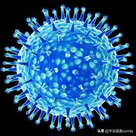 上海又增加一例本土确诊病例,小学一二三年级、幼儿园6月2日,还有必要开学吗,担心?