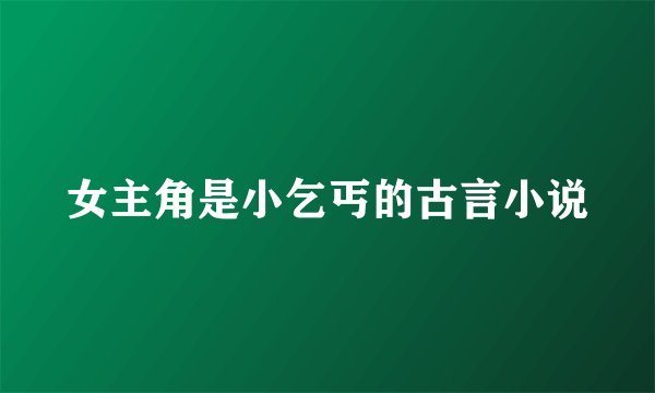 女主角是小乞丐的古言小说