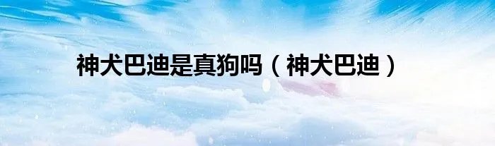 神犬巴迪是真狗吗（神犬巴迪）