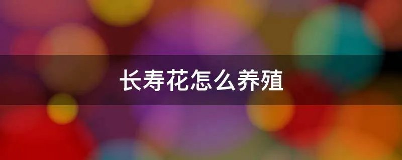 长寿花怎么养殖