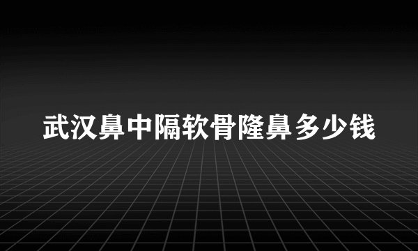 武汉鼻中隔软骨隆鼻多少钱