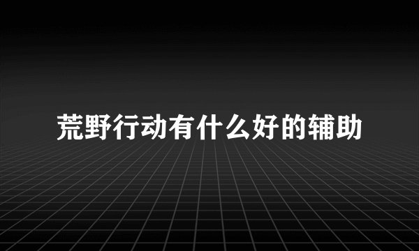 荒野行动有什么好的辅助