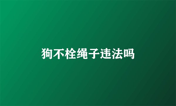 狗不栓绳子违法吗