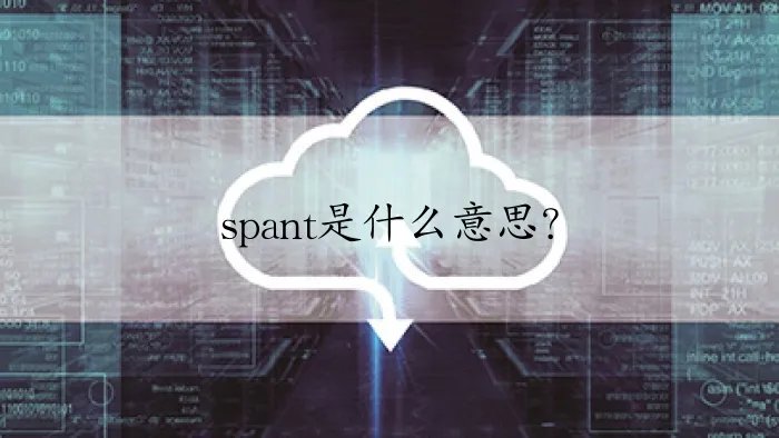 spant是什么意思？
