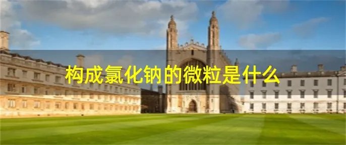 构成氯化钠的微粒是什么