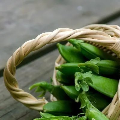 脱毛有哪几种方法