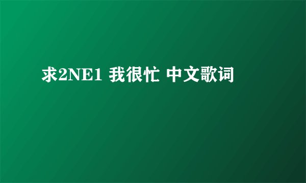 求2NE1 我很忙 中文歌词