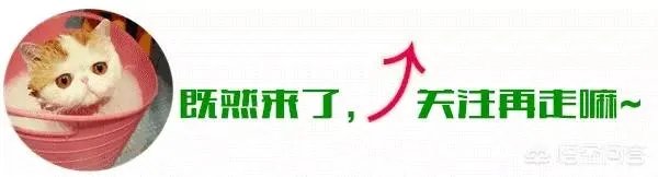 高鑫零售 战略规划