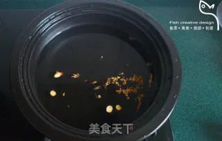 海葵静心莲