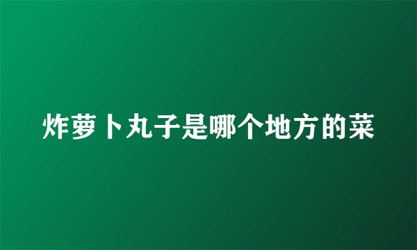 炸萝卜丸子是哪个地方的菜