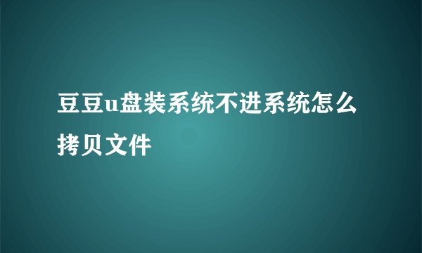 豆豆u盘装系统不进系统怎么拷贝文件
