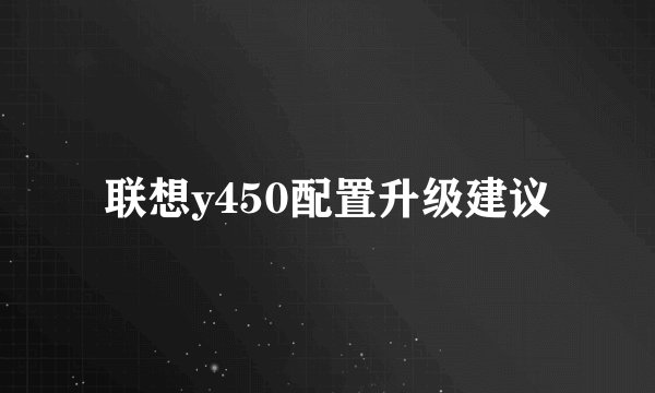 联想y450配置升级建议