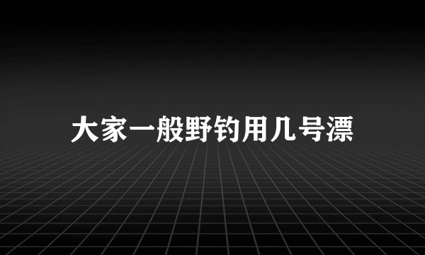 大家一般野钓用几号漂