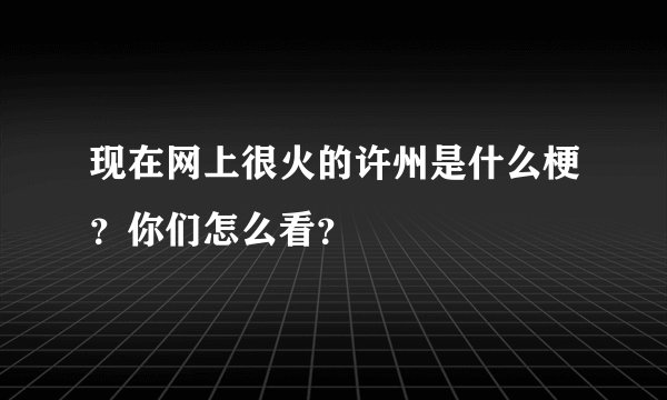 现在网上很火的许州是什么梗？你们怎么看？