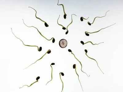 男生吃精子会怎么样呢
