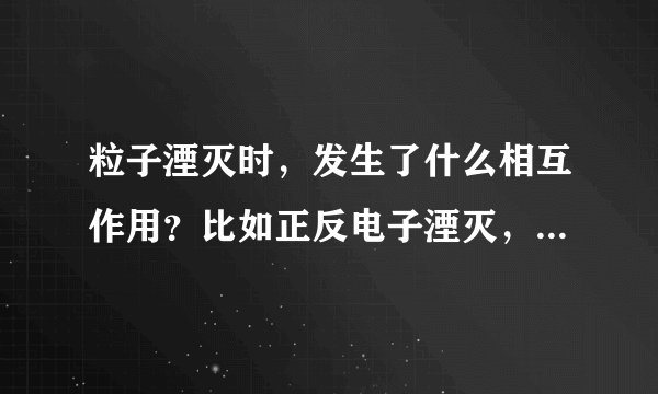 粒子湮灭时，发生了什么相互作用？比如正反电子湮灭，正反质子湮灭，以及正反中微子湮灭（如果可能的话）时？
