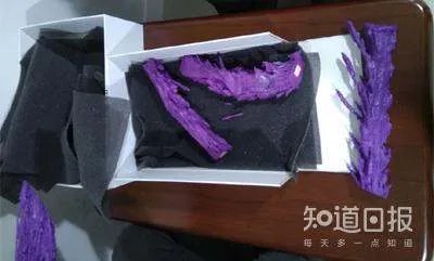 我们是怎样在琥珀里发现恐龙尾巴的?