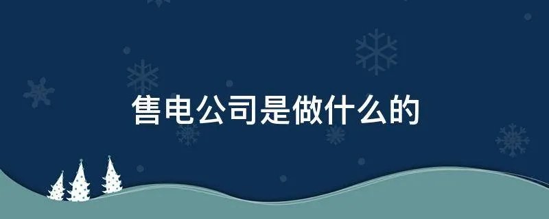 售电公司是做什么的
