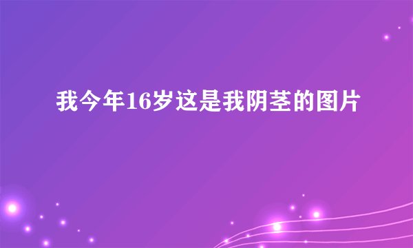 我今年16岁这是我阴茎的图片