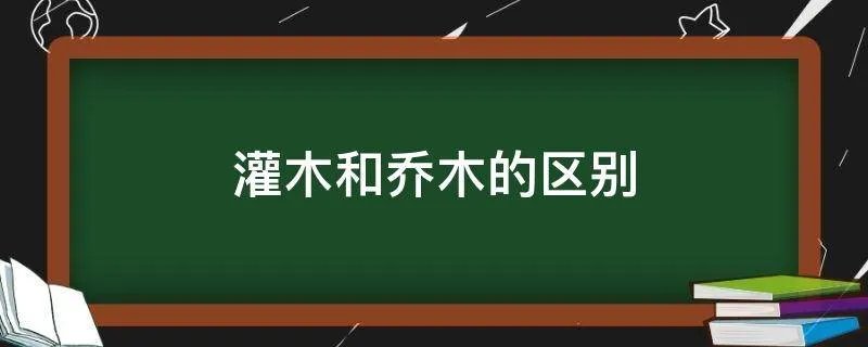 灌木和乔木的区别