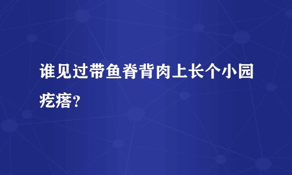 谁见过带鱼脊背肉上长个小园疙瘩？