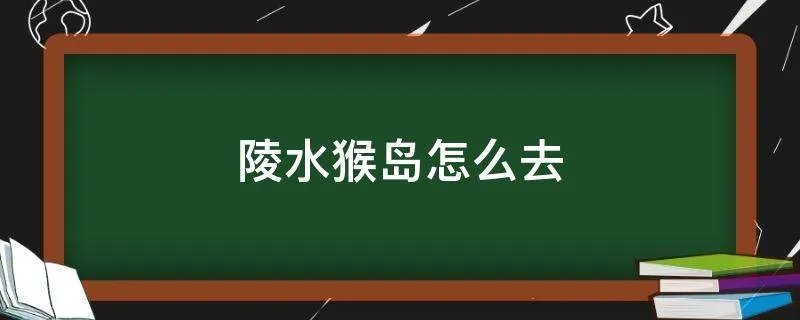 陵水猴岛怎么去