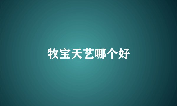 牧宝天艺哪个好